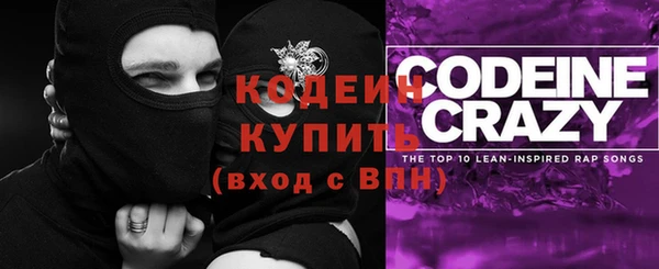 ГАЛЛЮЦИНОГЕННЫЕ ГРИБЫ Балабаново