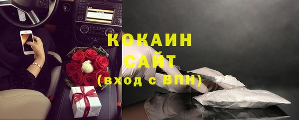 ешки Бородино