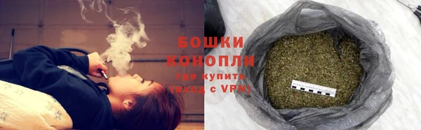ешки Бородино