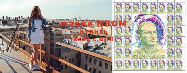 хмурый Богородск