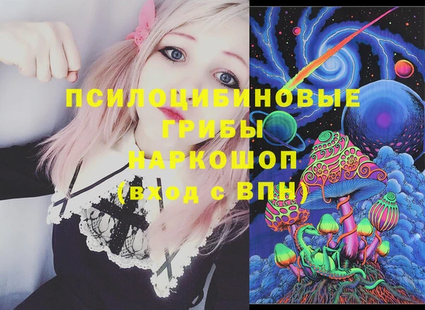 хмурый Богородск