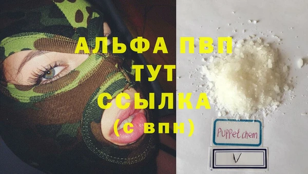 стаф Бугульма