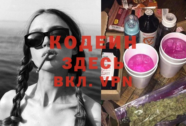 ешки Бородино