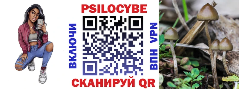 Галлюциногенные грибы прущие грибы  Гаврилов-Ям 